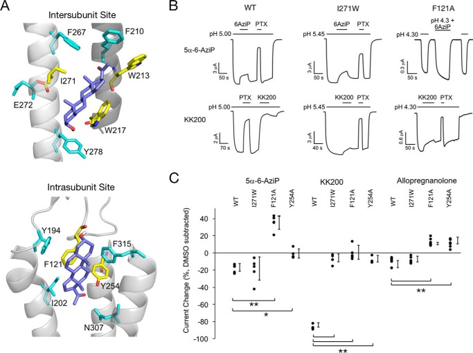 Figure 11.