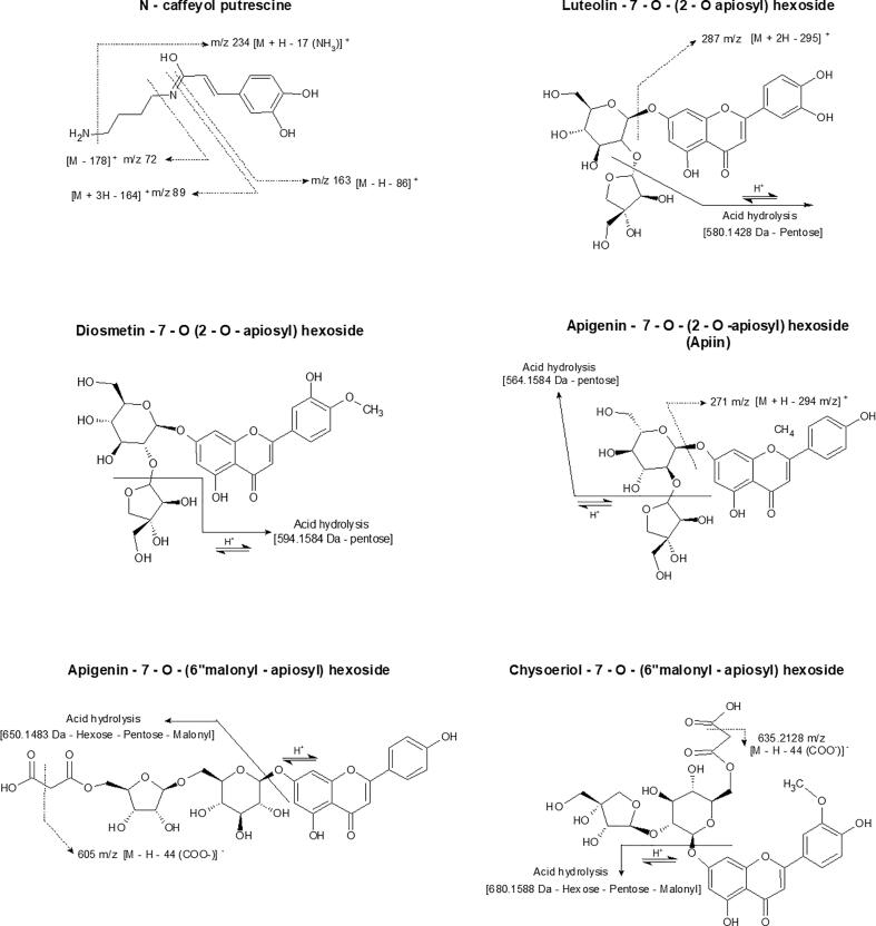 Fig. 4