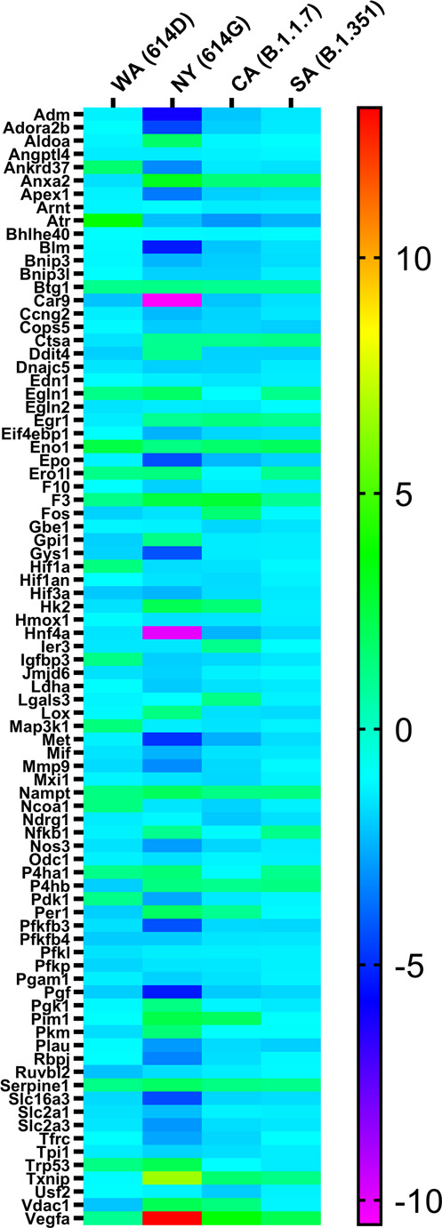 Fig. 7