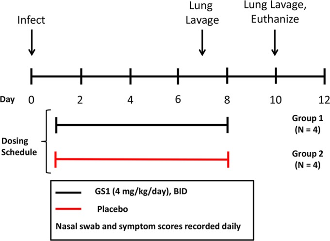 FIG 2