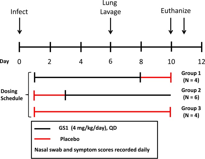 FIG 3