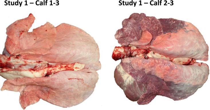 FIG 5