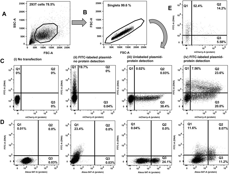 Fig 1