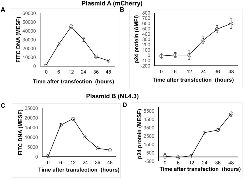 Fig 6