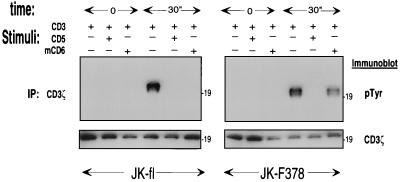 FIG. 6