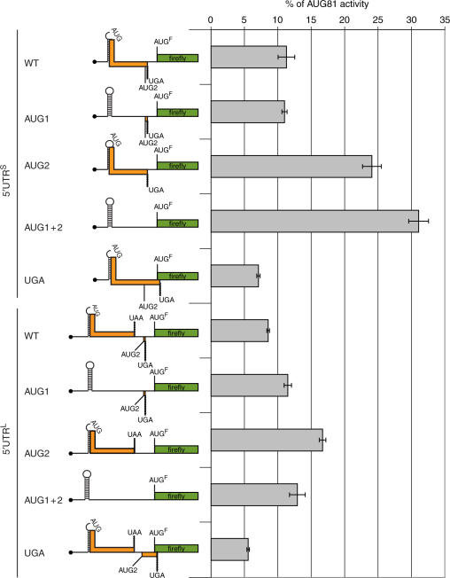 Figure 6.