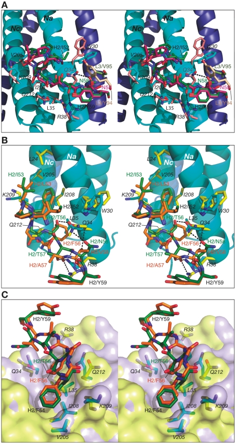 Figure 5