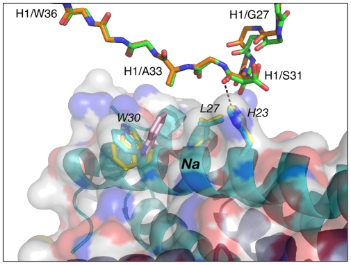 Figure 4