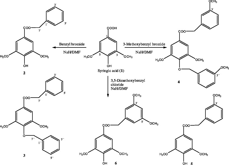 Scheme 1