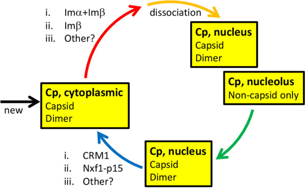 FIG 11