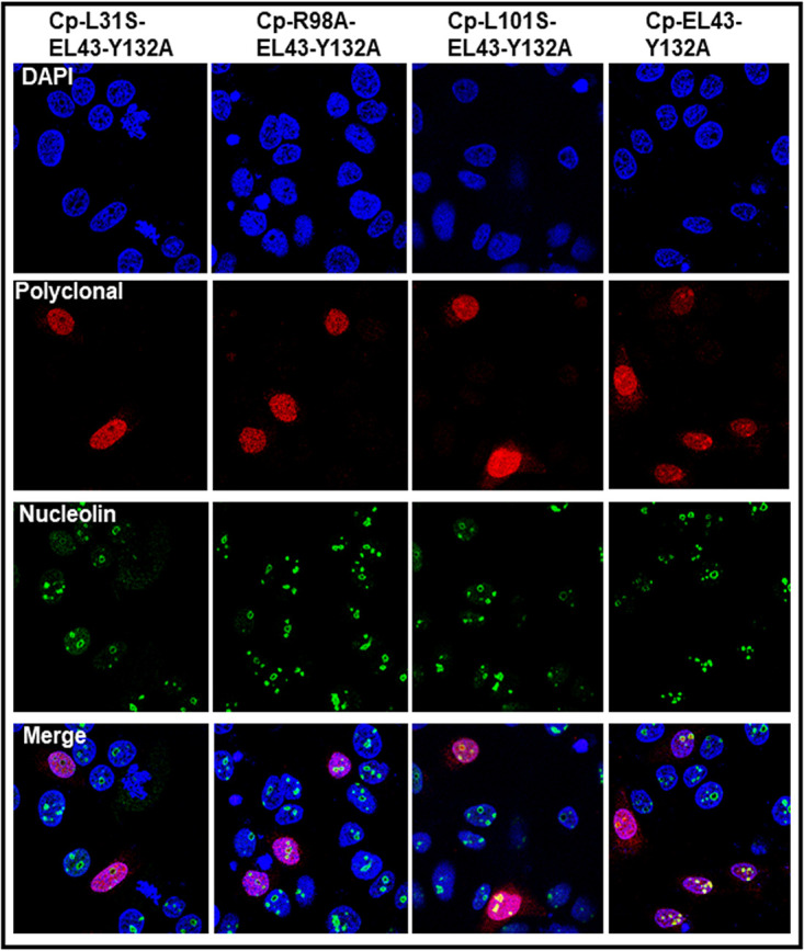 FIG 10