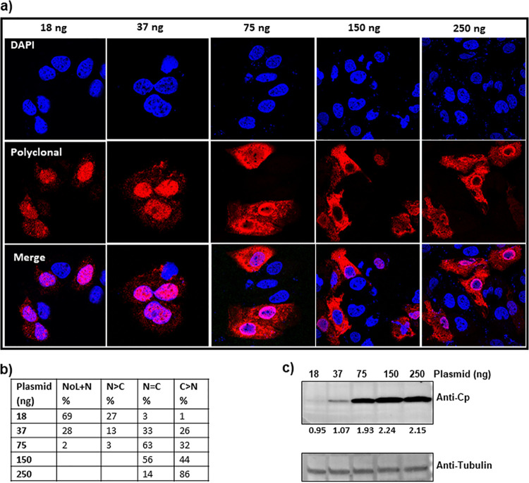 FIG 2