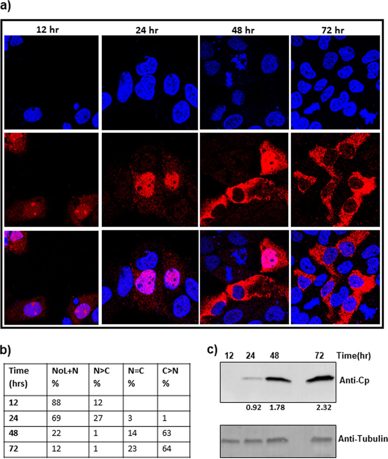 FIG 3