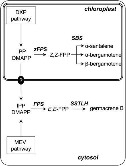 Figure 9.