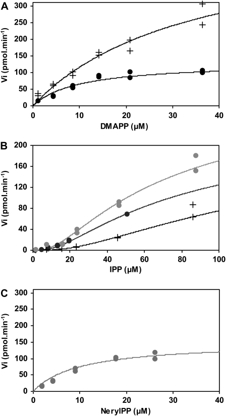 Figure 5.