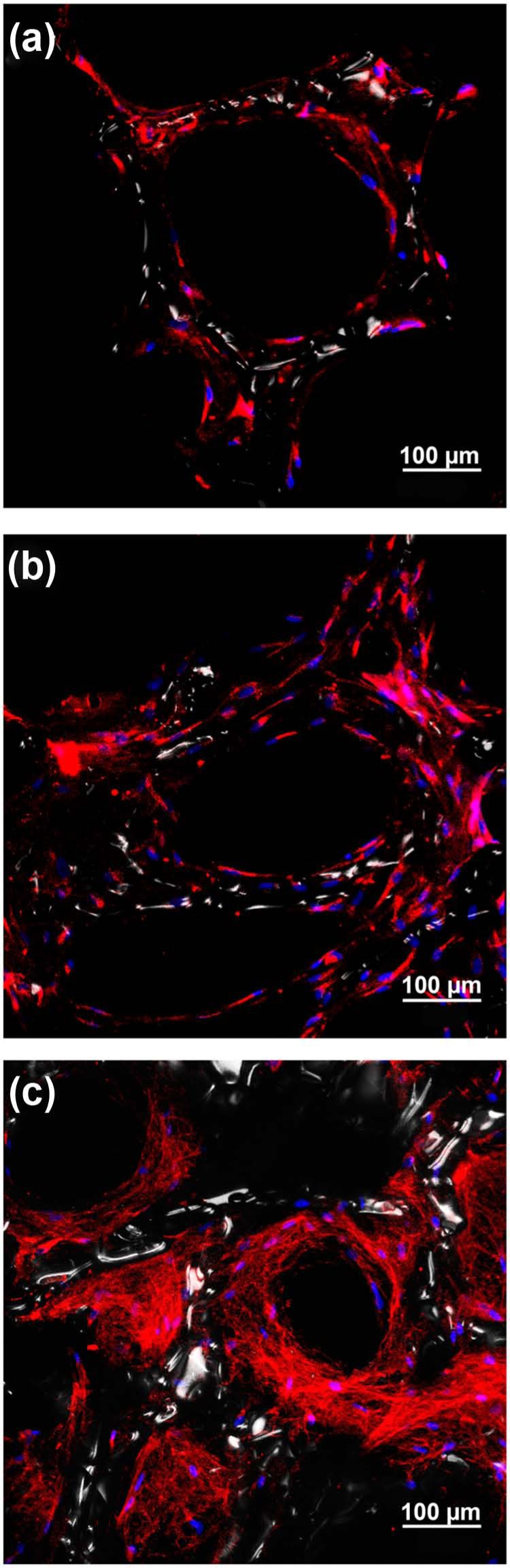 Figure 9.