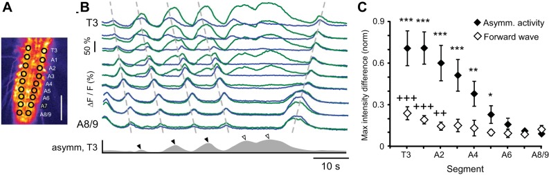 Fig. 4.