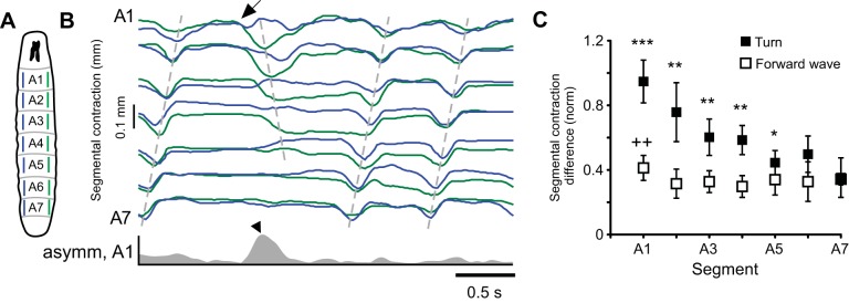 Fig. 8.