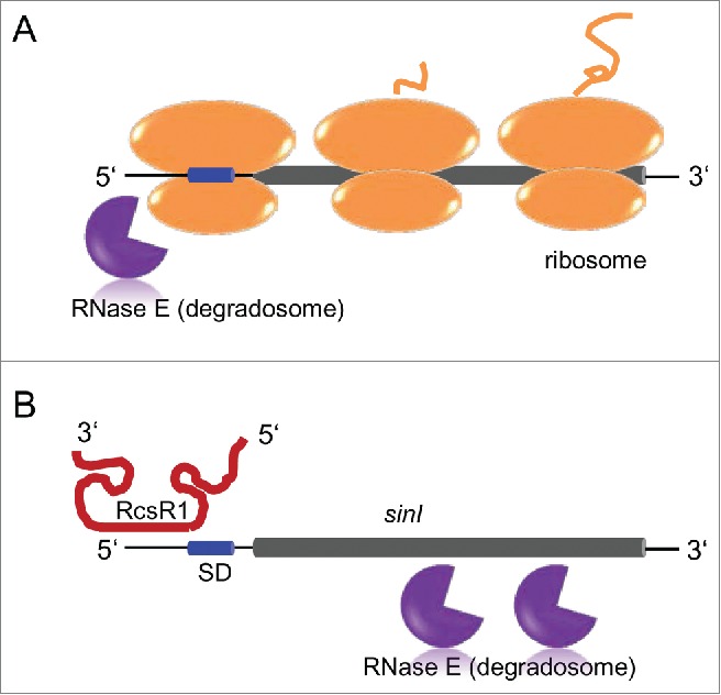 Figure 9.