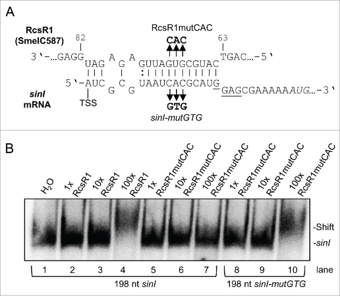 Figure 6.