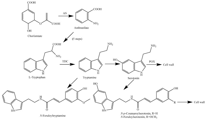 Figure 16