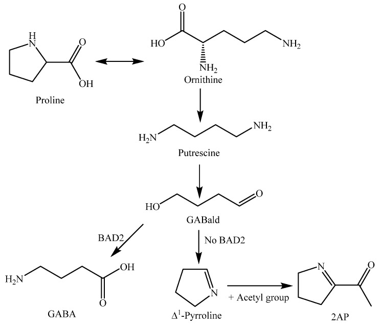 Figure 15