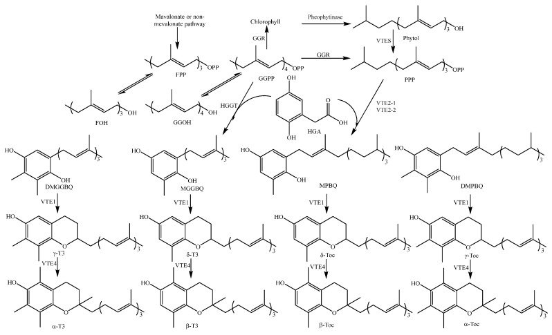 Figure 14