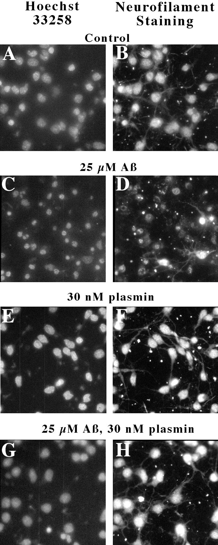 Fig. 9.