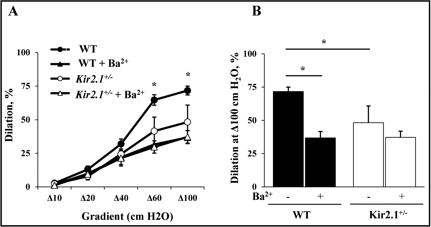 Fig. 6.