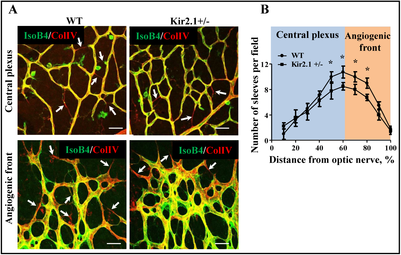 Fig. 4.