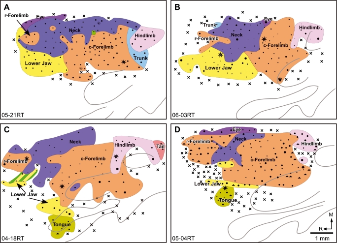 Fig. 3