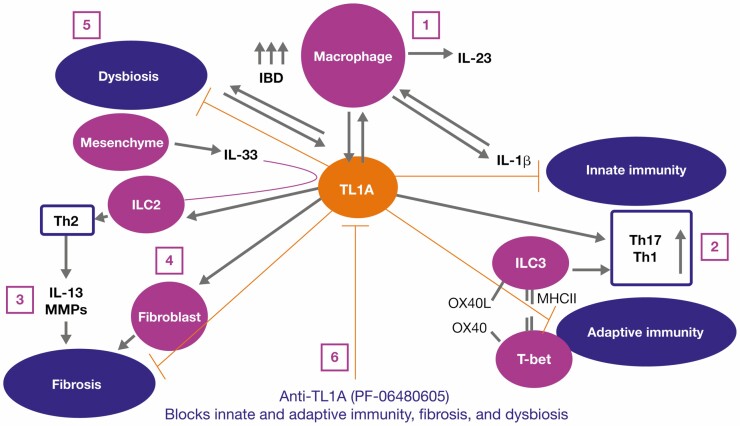 Figure 7.