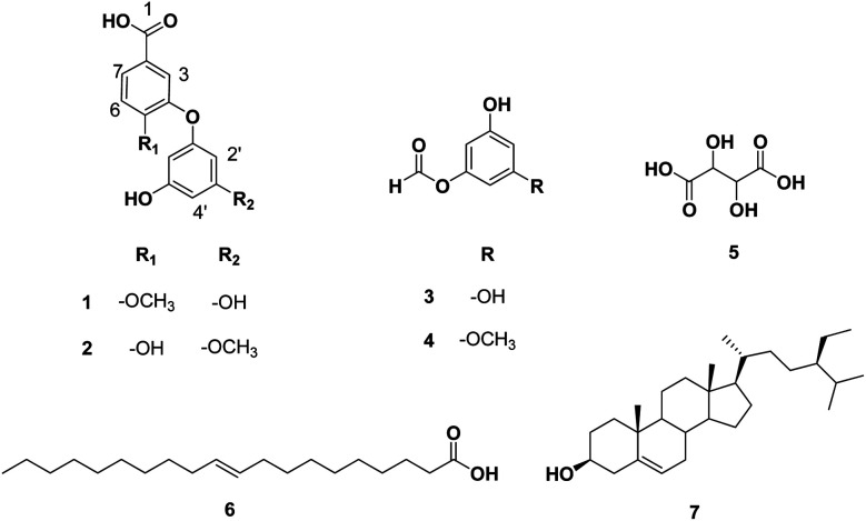 Fig. 5