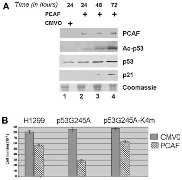 Fig. 9