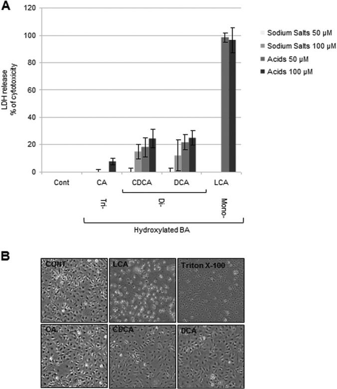 FIG 1