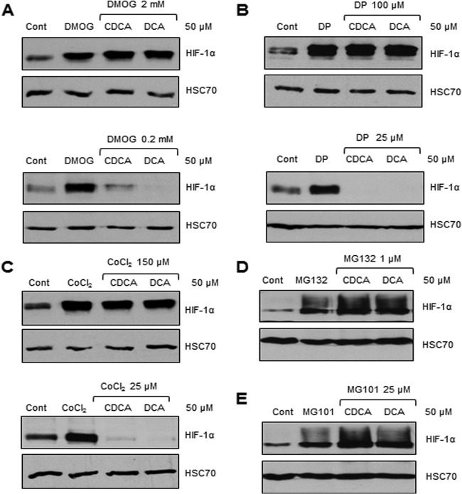 FIG 5