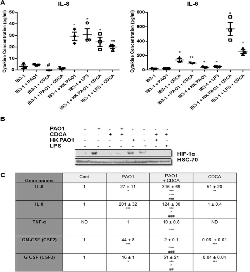 FIG 6