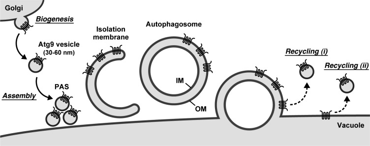 Figure 7.