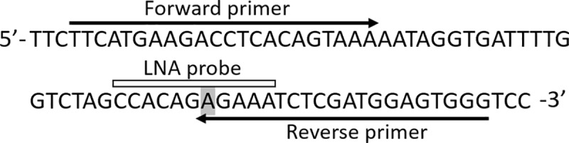 Fig 1