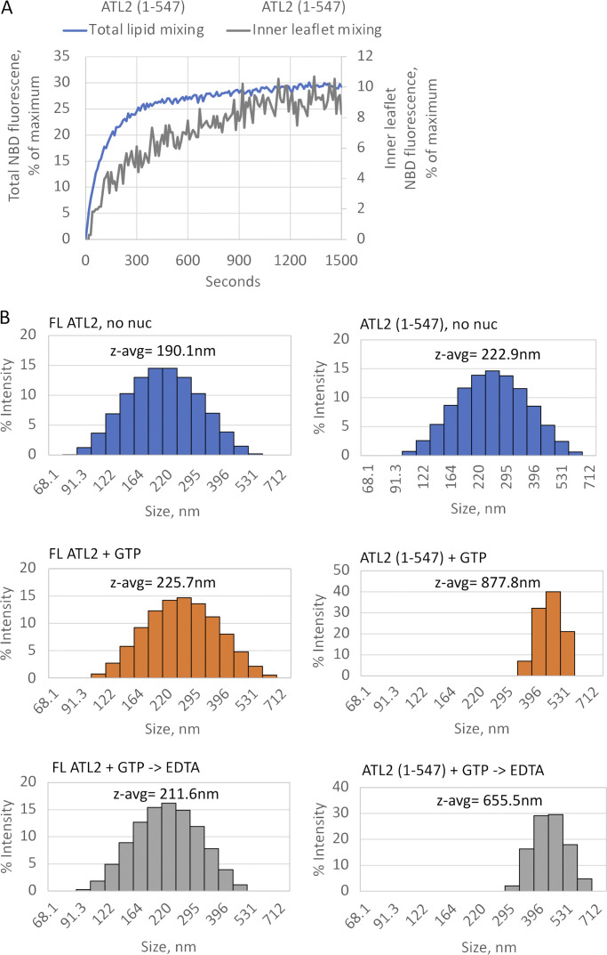 Figure 5.