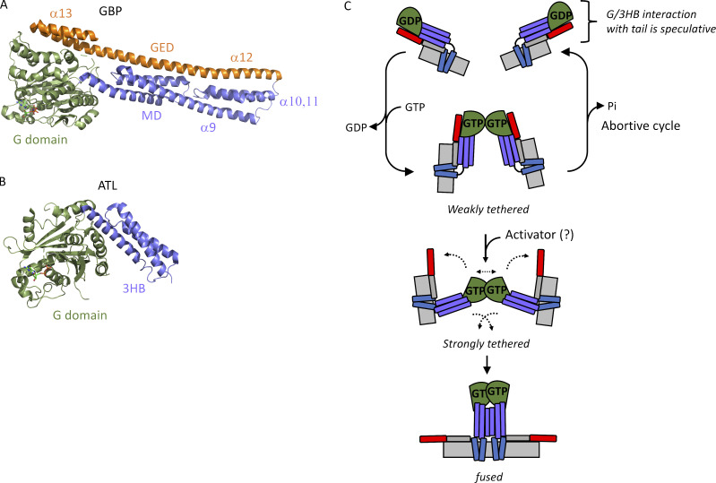 Figure 10.