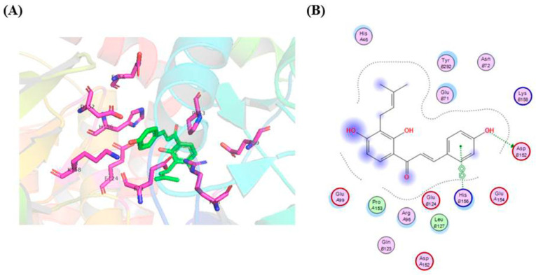 Figure 11