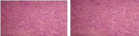 [Table/Fig-5]: