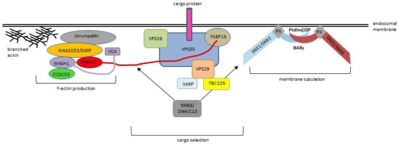 Fig. (2)