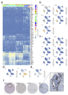 Extended Data Figure 2