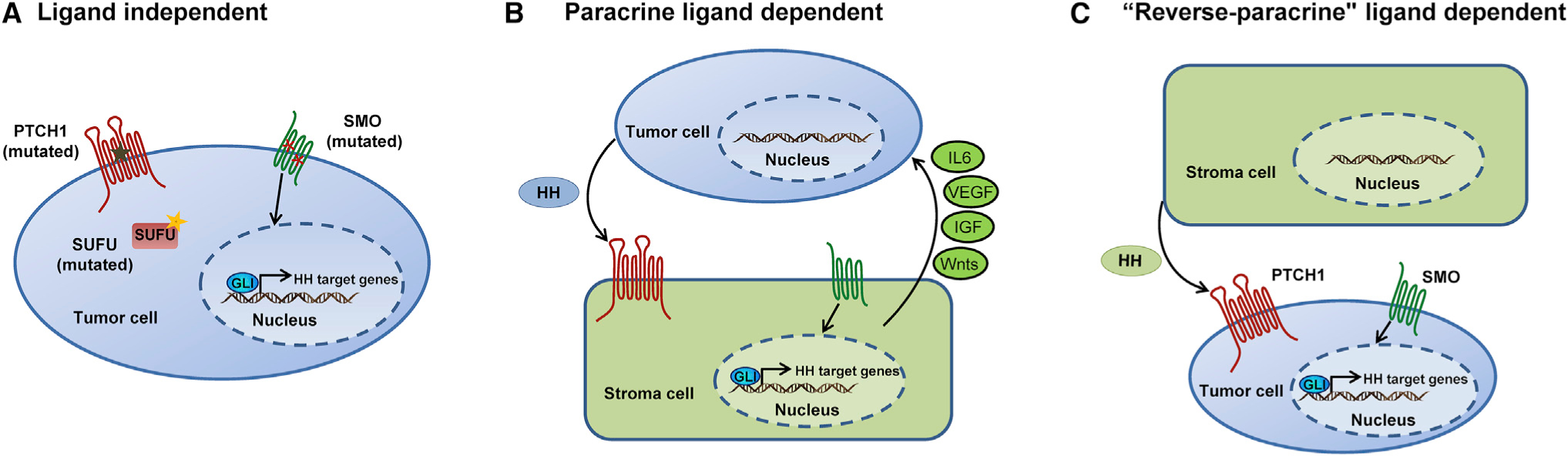 Figure 2.