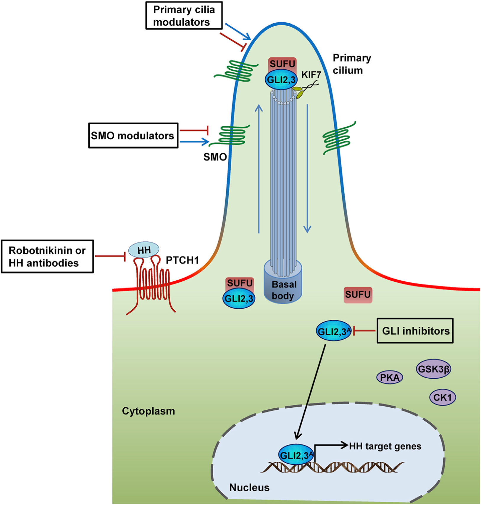 Figure 3.