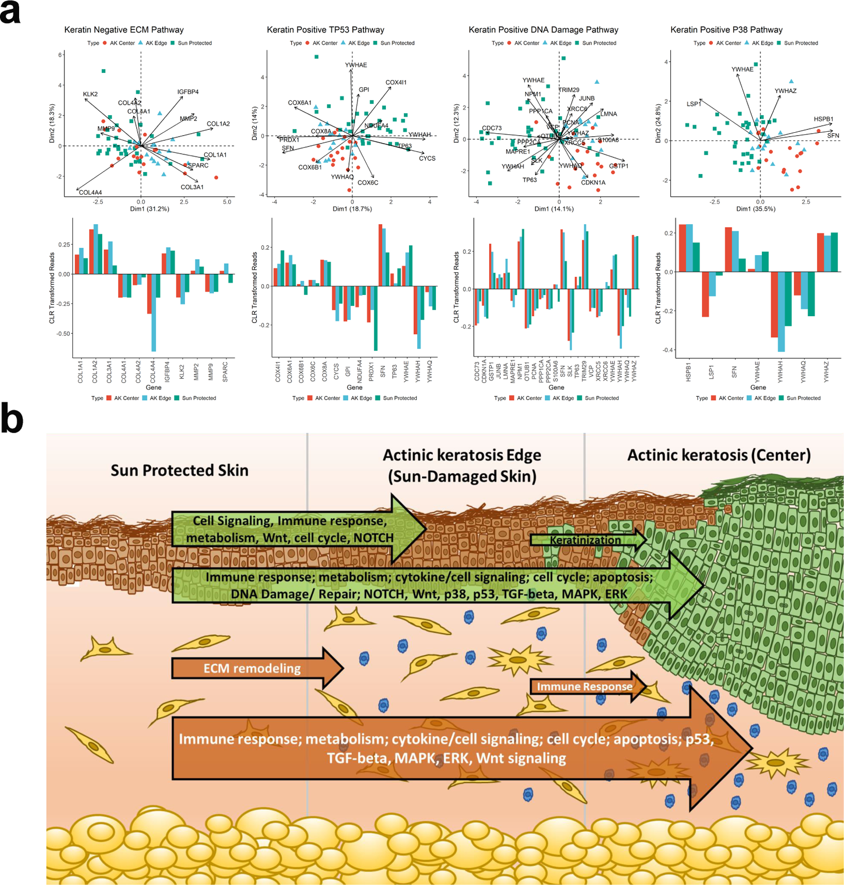 Figure 2: