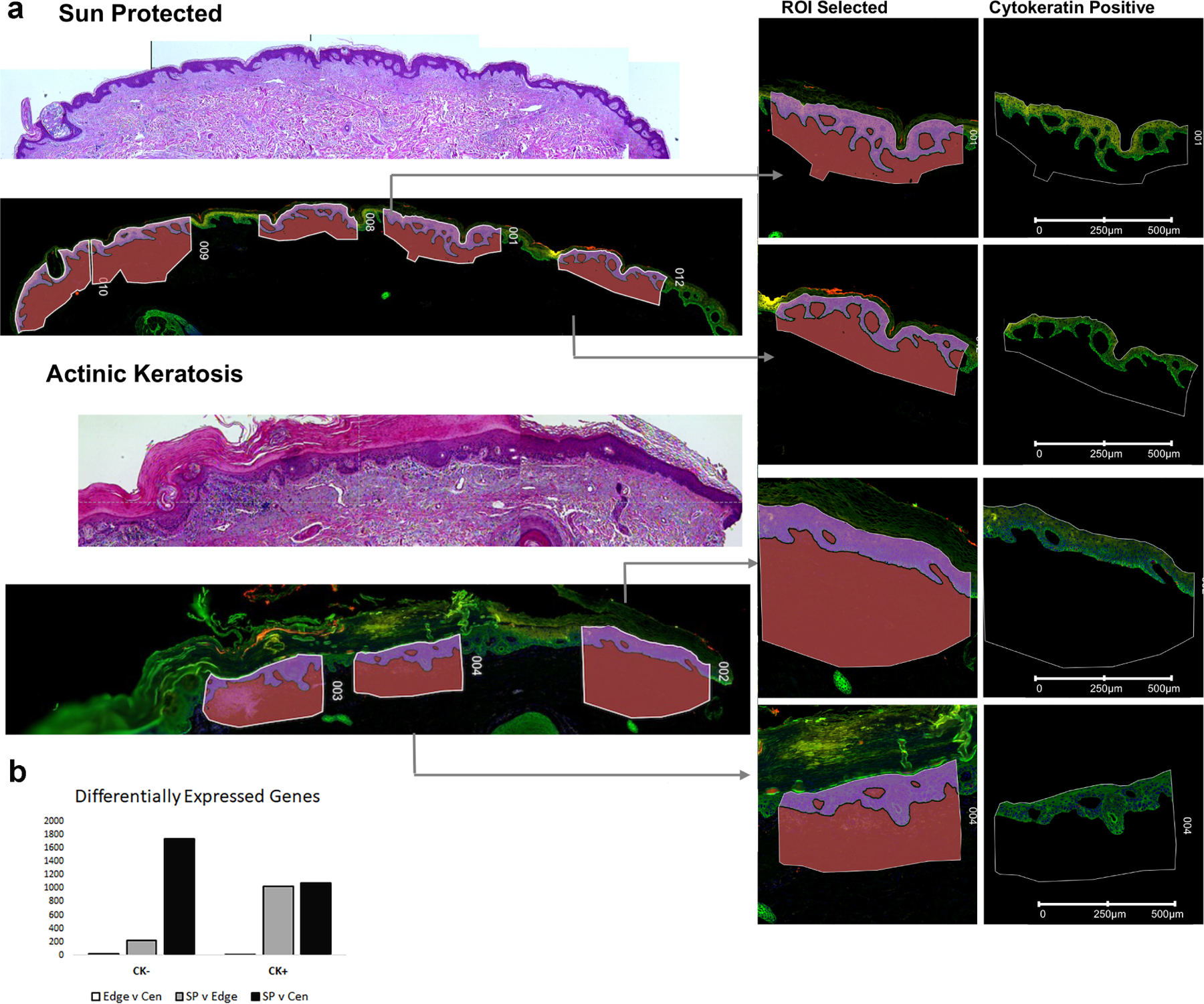 Figure 1: