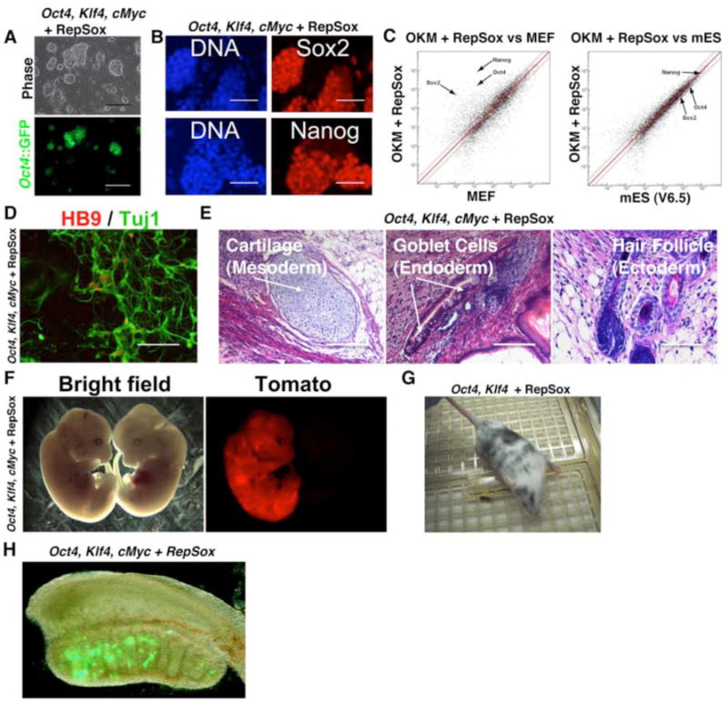 Figure 2